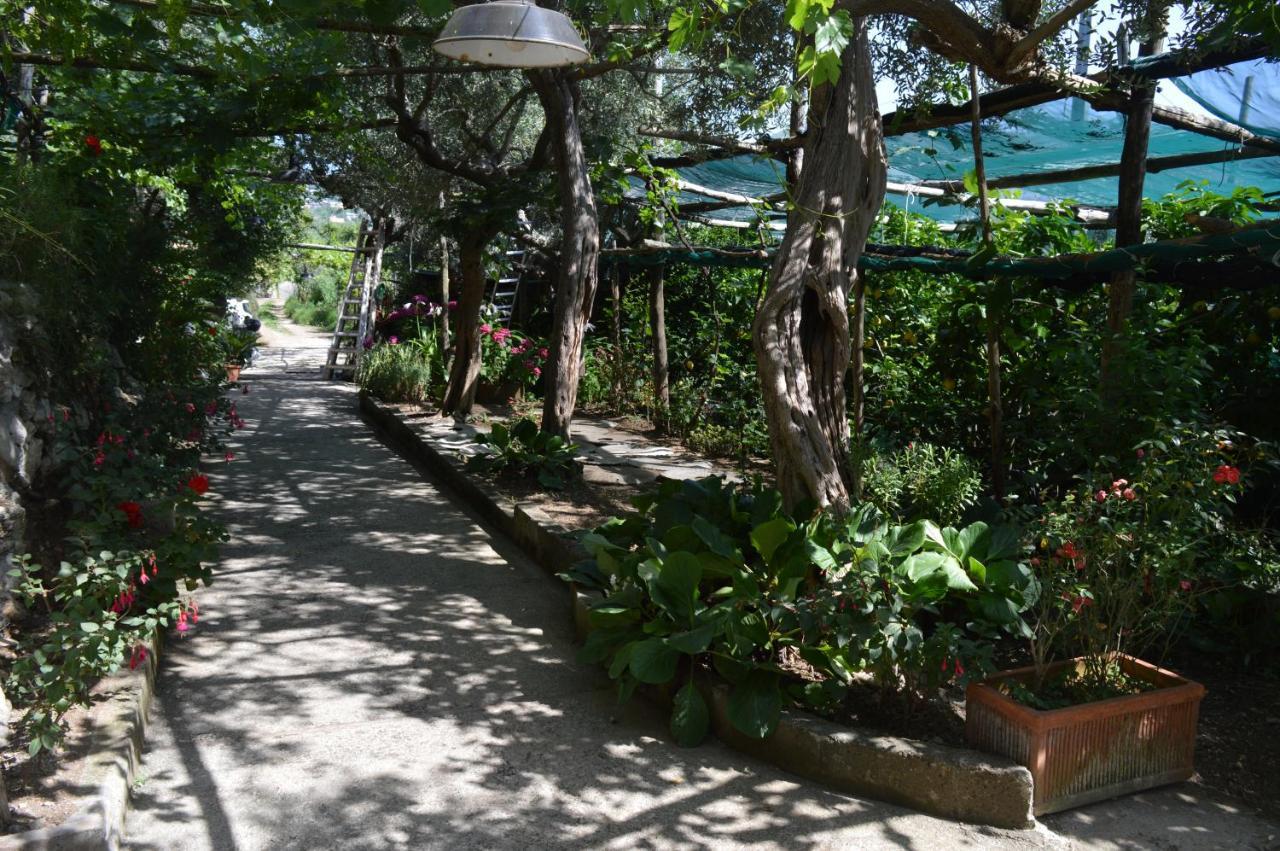 La Petra Villa Vico Equense Kültér fotó