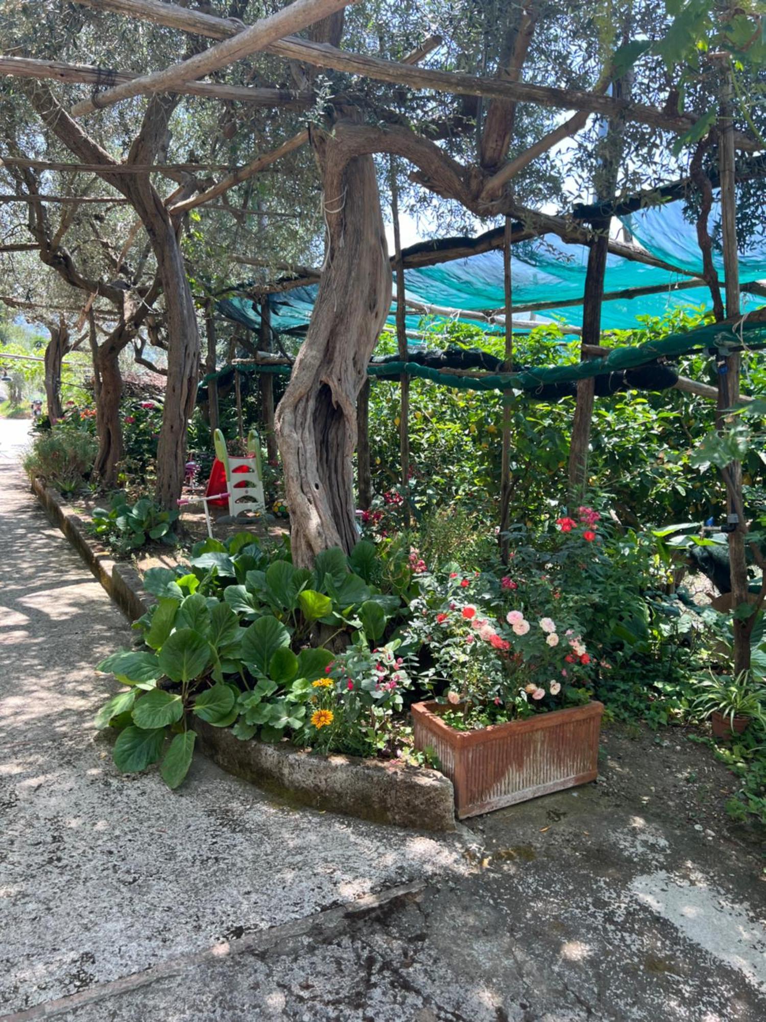La Petra Villa Vico Equense Kültér fotó
