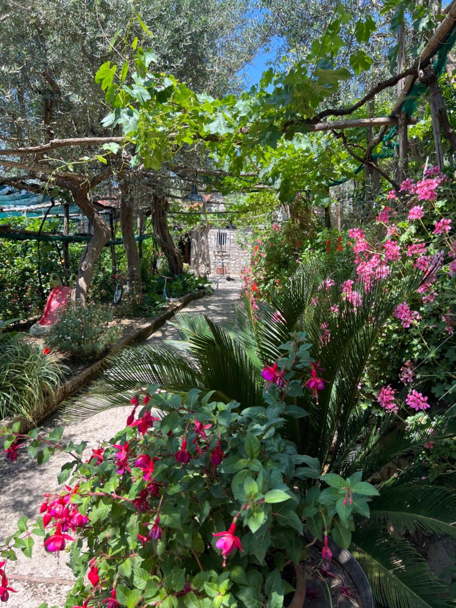 La Petra Villa Vico Equense Kültér fotó