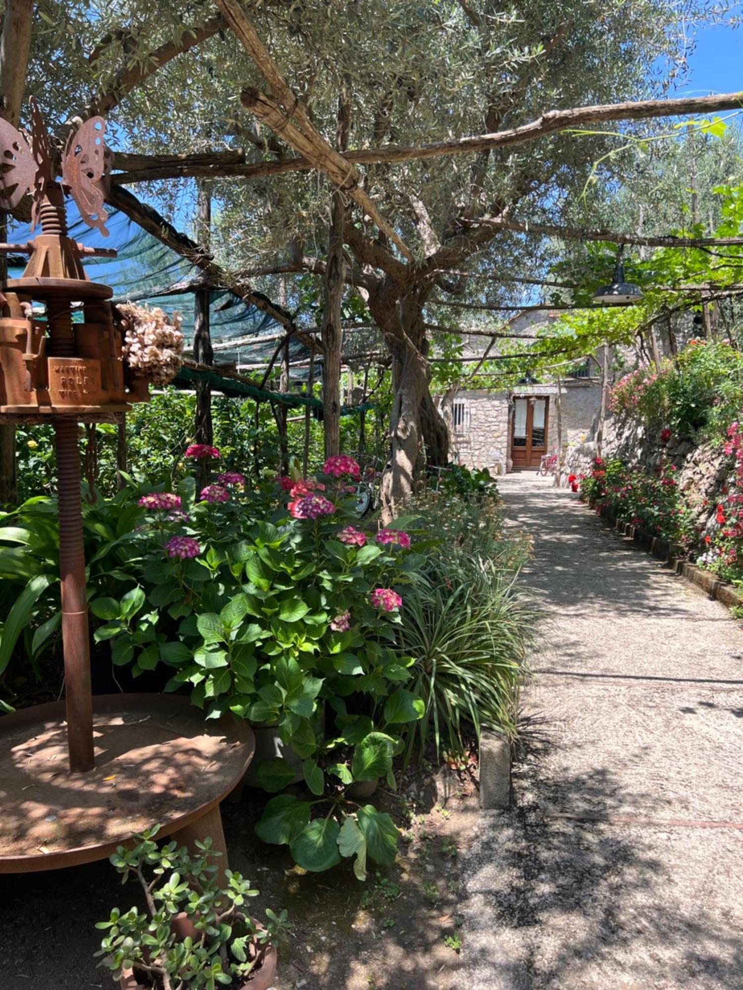 La Petra Villa Vico Equense Kültér fotó
