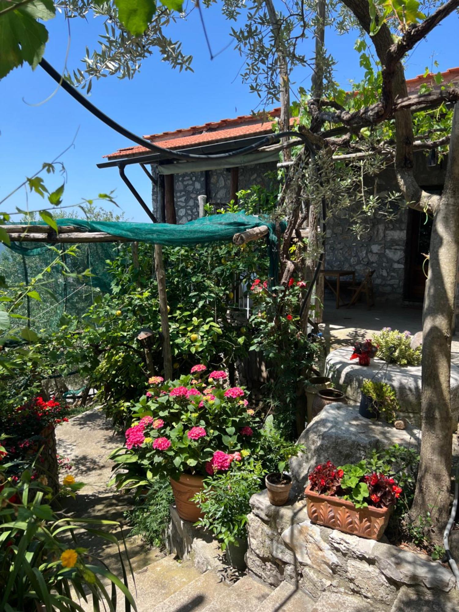 La Petra Villa Vico Equense Kültér fotó